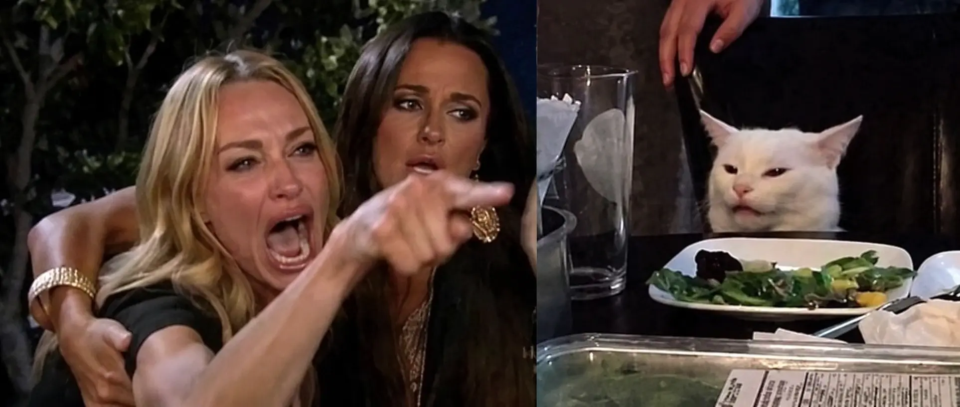 A crying blonde woman pointing next to a confused white cat sitting at a dinner table with a plate of vegetables.